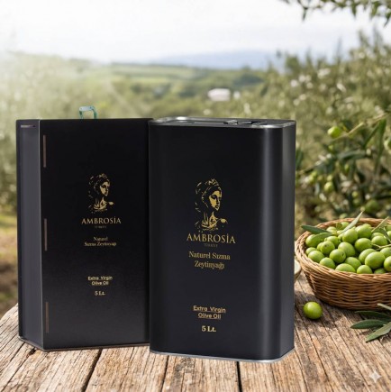 Anasayfa İçerik Alanı
